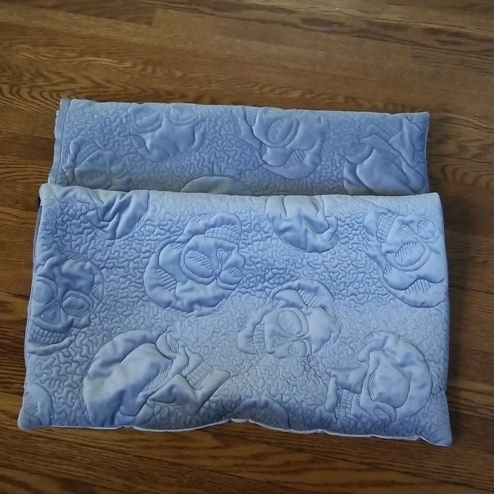 Set of 2 pillow covers